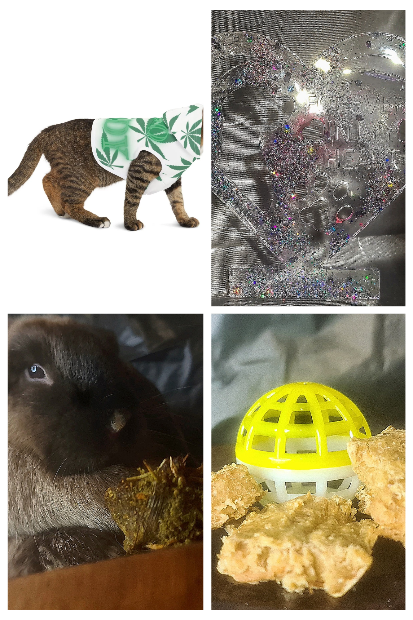 PET GOODIES