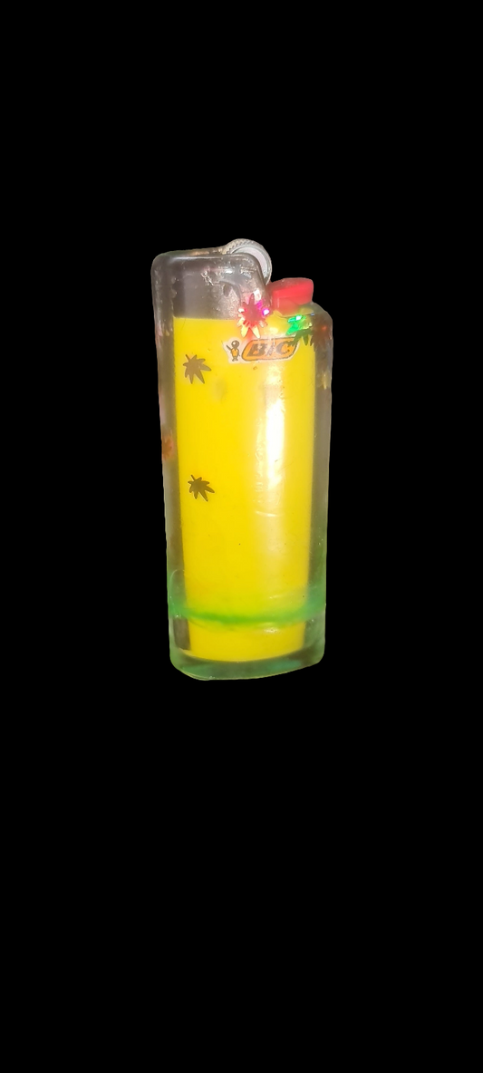 BIC Lighter Cases